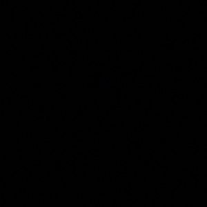 Meet your Posher, Noah